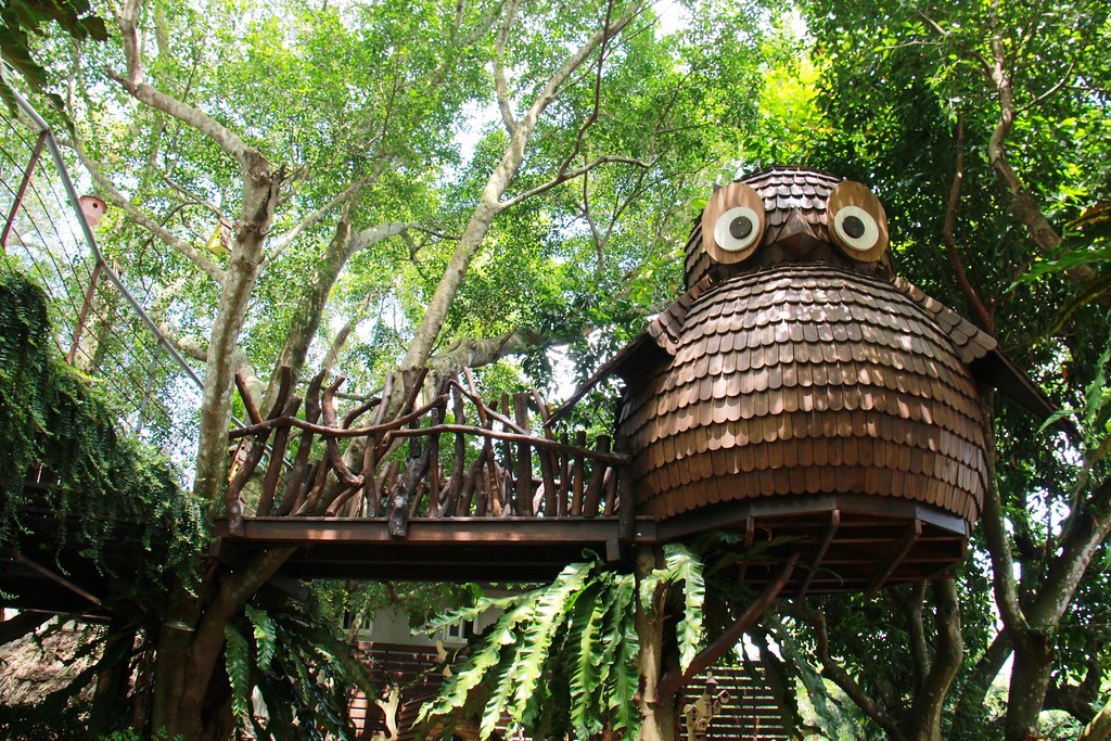苗栗卓蘭|花露農場,浪漫繡球花盛開,卓蘭景觀下午茶餐廳,苗栗一日遊景點推薦 @飛天璇的口袋