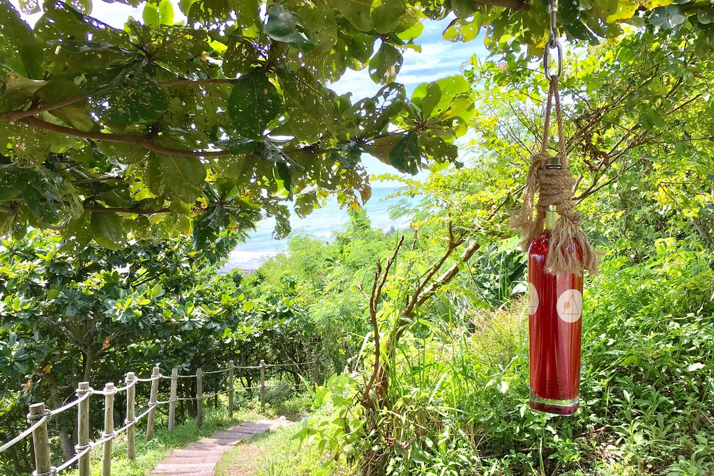 花蓮壽豐|山度空間.花蓮打卡新秘境,透明圓球盪鞦韆、蔚藍無敵海景、三角型木製帳篷 @飛天璇的口袋