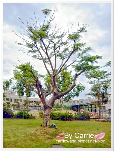 【桃園旅遊景點】風車的故鄉.景觀篇@熱門偶像劇拍攝場地 @飛天璇的口袋 【桃園旅遊景點】風車的故鄉.景觀篇@熱門偶像劇拍攝場地 @飛天璇的口袋