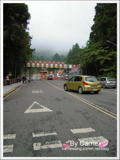 溪頭妖怪村:仿佛置身於電影神隱少女般的感覺,濃濃的日式氛圍好逛好拍好多人 @飛天璇的口袋 溪頭妖怪村:仿佛置身於電影神隱少女般的感覺,濃濃的日式氛圍好逛好拍好多人 @飛天璇的口袋