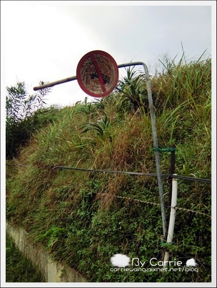 花蓮壽豐|牛山呼庭Huting v.s磯碕國小|比賽開始+盛夏的光年拍攝地 @飛天璇的口袋 花蓮壽豐|牛山呼庭Huting v.s磯碕國小|比賽開始+盛夏的光年拍攝地 @飛天璇的口袋