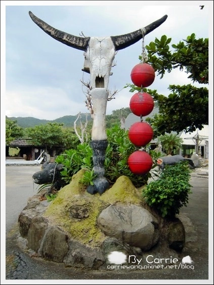 花蓮壽豐|牛山呼庭Huting v.s磯碕國小|比賽開始+盛夏的光年拍攝地 @飛天璇的口袋 花蓮壽豐|牛山呼庭Huting v.s磯碕國小|比賽開始+盛夏的光年拍攝地 @飛天璇的口袋