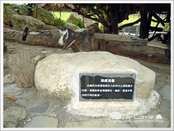 花蓮壽豐|牛山呼庭Huting v.s磯碕國小|比賽開始+盛夏的光年拍攝地 @飛天璇的口袋 花蓮壽豐|牛山呼庭Huting v.s磯碕國小|比賽開始+盛夏的光年拍攝地 @飛天璇的口袋