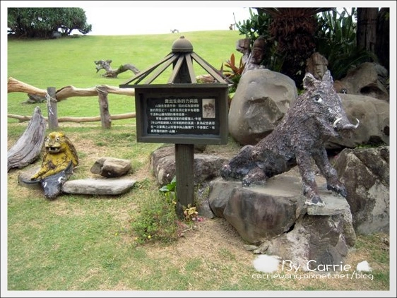 花蓮壽豐|牛山呼庭Huting v.s磯碕國小|比賽開始+盛夏的光年拍攝地 @飛天璇的口袋 花蓮壽豐|牛山呼庭Huting v.s磯碕國小|比賽開始+盛夏的光年拍攝地 @飛天璇的口袋