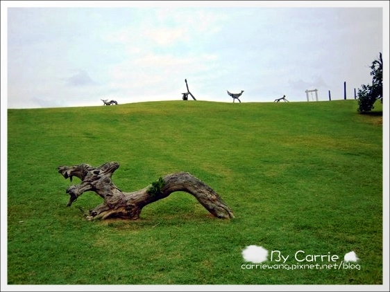 花蓮壽豐|牛山呼庭Huting v.s磯碕國小|比賽開始+盛夏的光年拍攝地 @飛天璇的口袋 花蓮壽豐|牛山呼庭Huting v.s磯碕國小|比賽開始+盛夏的光年拍攝地 @飛天璇的口袋