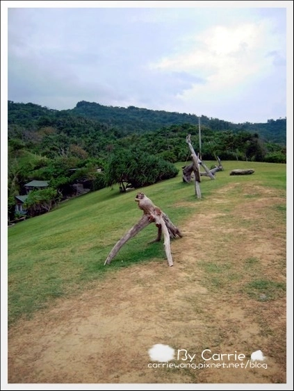 花蓮壽豐|牛山呼庭Huting v.s磯碕國小|比賽開始+盛夏的光年拍攝地 @飛天璇的口袋 花蓮壽豐|牛山呼庭Huting v.s磯碕國小|比賽開始+盛夏的光年拍攝地 @飛天璇的口袋