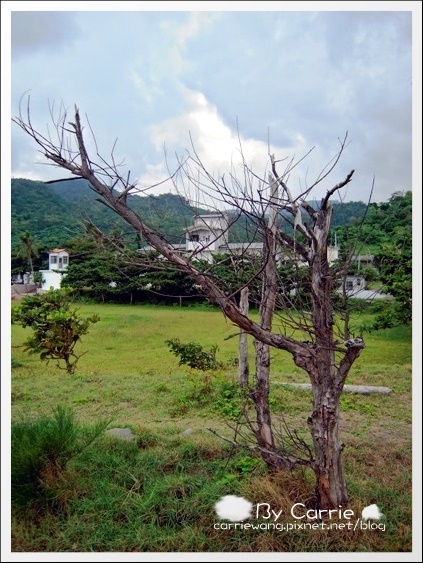 花蓮壽豐|牛山呼庭Huting v.s磯碕國小|比賽開始+盛夏的光年拍攝地 @飛天璇的口袋 花蓮壽豐|牛山呼庭Huting v.s磯碕國小|比賽開始+盛夏的光年拍攝地 @飛天璇的口袋