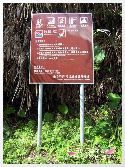 花蓮秀林|慕谷慕魚生態廊道|花蓮最值得推薦的世外桃源慕谷慕魚 @飛天璇的口袋 花蓮秀林|慕谷慕魚生態廊道|花蓮最值得推薦的世外桃源慕谷慕魚 @飛天璇的口袋