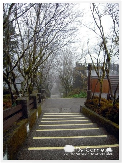 【宜蘭旅遊景點】太平山森林遊樂區+太平山蹦蹦車 @飛天璇的口袋 【宜蘭旅遊景點】太平山森林遊樂區+太平山蹦蹦車 @飛天璇的口袋