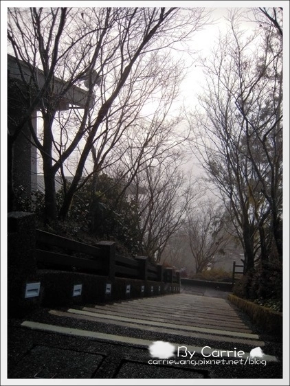 【宜蘭旅遊景點】太平山森林遊樂區+太平山蹦蹦車 @飛天璇的口袋 【宜蘭旅遊景點】太平山森林遊樂區+太平山蹦蹦車 @飛天璇的口袋