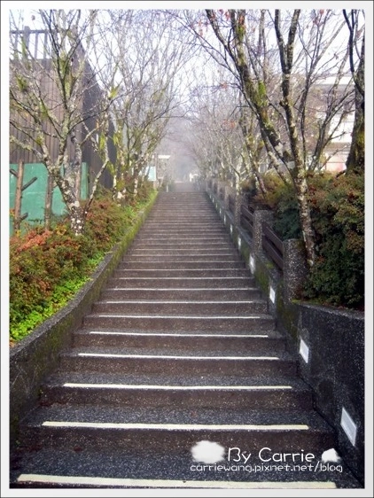 【宜蘭旅遊景點】太平山森林遊樂區+太平山蹦蹦車 @飛天璇的口袋 【宜蘭旅遊景點】太平山森林遊樂區+太平山蹦蹦車 @飛天璇的口袋