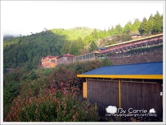 【宜蘭旅遊景點】太平山森林遊樂區+太平山蹦蹦車 @飛天璇的口袋 【宜蘭旅遊景點】太平山森林遊樂區+太平山蹦蹦車 @飛天璇的口袋