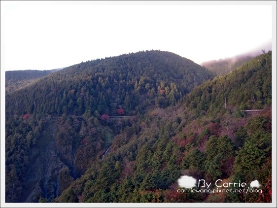 【宜蘭旅遊景點】太平山森林遊樂區+太平山蹦蹦車 @飛天璇的口袋 【宜蘭旅遊景點】太平山森林遊樂區+太平山蹦蹦車 @飛天璇的口袋