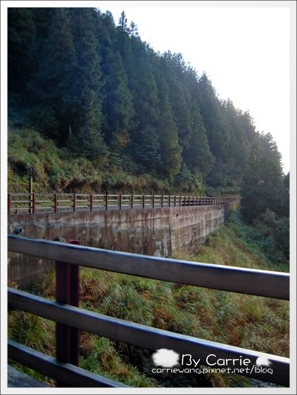 【宜蘭旅遊景點】太平山森林遊樂區+太平山蹦蹦車 @飛天璇的口袋 【宜蘭旅遊景點】太平山森林遊樂區+太平山蹦蹦車 @飛天璇的口袋