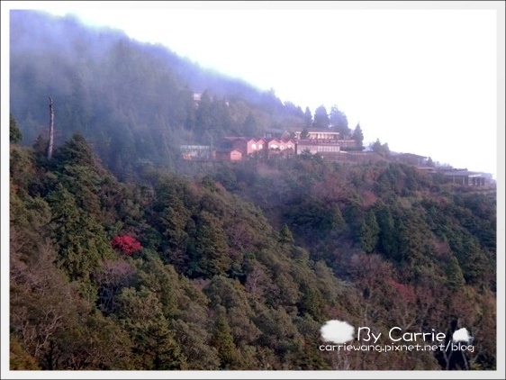【宜蘭旅遊景點】太平山森林遊樂區+太平山蹦蹦車 @飛天璇的口袋 【宜蘭旅遊景點】太平山森林遊樂區+太平山蹦蹦車 @飛天璇的口袋