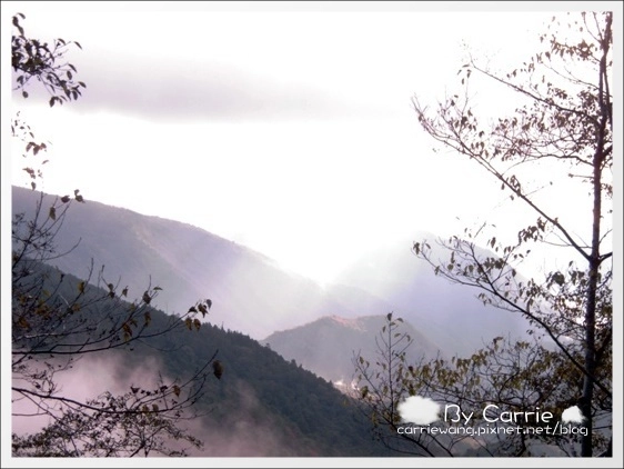 【宜蘭旅遊景點】太平山森林遊樂區+太平山蹦蹦車 @飛天璇的口袋 【宜蘭旅遊景點】太平山森林遊樂區+太平山蹦蹦車 @飛天璇的口袋