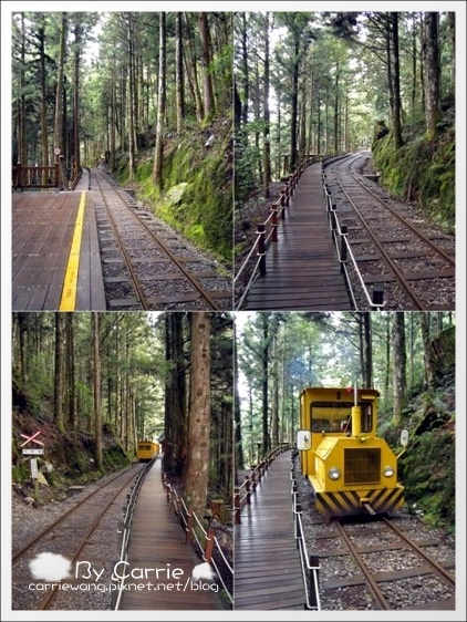 【宜蘭旅遊景點】太平山森林遊樂區+太平山蹦蹦車 @飛天璇的口袋 【宜蘭旅遊景點】太平山森林遊樂區+太平山蹦蹦車 @飛天璇的口袋