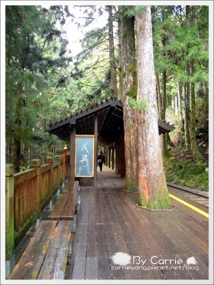 【宜蘭旅遊景點】太平山森林遊樂區+太平山蹦蹦車 @飛天璇的口袋 【宜蘭旅遊景點】太平山森林遊樂區+太平山蹦蹦車 @飛天璇的口袋