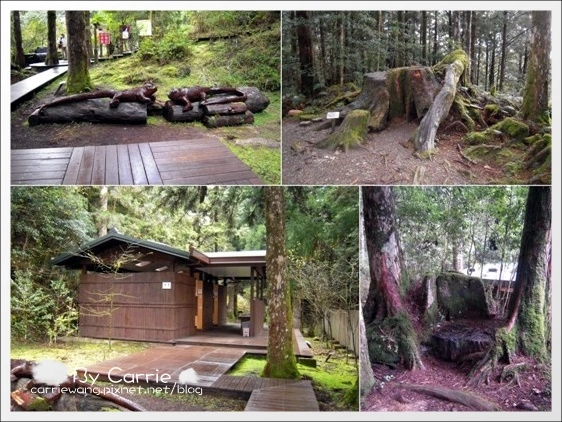 【宜蘭旅遊景點】太平山森林遊樂區+太平山蹦蹦車 @飛天璇的口袋 【宜蘭旅遊景點】太平山森林遊樂區+太平山蹦蹦車 @飛天璇的口袋