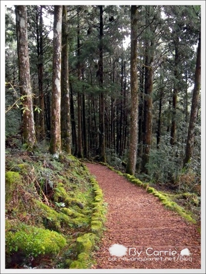 【宜蘭旅遊景點】太平山森林遊樂區+太平山蹦蹦車 @飛天璇的口袋 【宜蘭旅遊景點】太平山森林遊樂區+太平山蹦蹦車 @飛天璇的口袋
