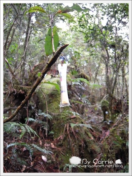 【宜蘭旅遊景點】太平山森林遊樂區+太平山蹦蹦車 @飛天璇的口袋 【宜蘭旅遊景點】太平山森林遊樂區+太平山蹦蹦車 @飛天璇的口袋