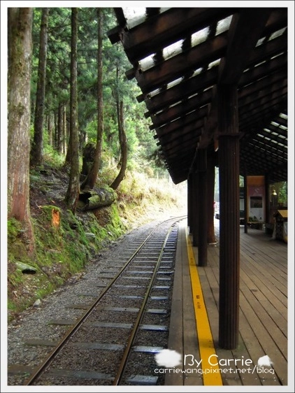 【宜蘭旅遊景點】太平山森林遊樂區+太平山蹦蹦車 @飛天璇的口袋 【宜蘭旅遊景點】太平山森林遊樂區+太平山蹦蹦車 @飛天璇的口袋