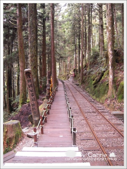 【宜蘭旅遊景點】太平山森林遊樂區+太平山蹦蹦車 @飛天璇的口袋 【宜蘭旅遊景點】太平山森林遊樂區+太平山蹦蹦車 @飛天璇的口袋