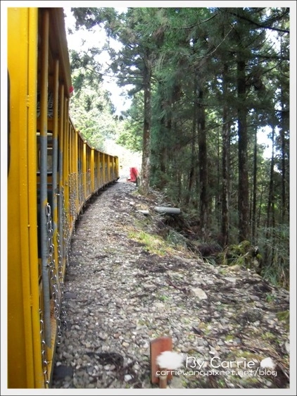 【宜蘭旅遊景點】太平山森林遊樂區+太平山蹦蹦車 @飛天璇的口袋 【宜蘭旅遊景點】太平山森林遊樂區+太平山蹦蹦車 @飛天璇的口袋