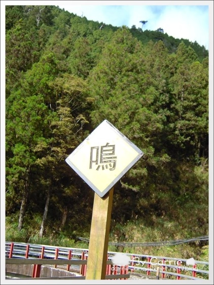 【宜蘭旅遊景點】太平山森林遊樂區+太平山蹦蹦車 @飛天璇的口袋 【宜蘭旅遊景點】太平山森林遊樂區+太平山蹦蹦車 @飛天璇的口袋