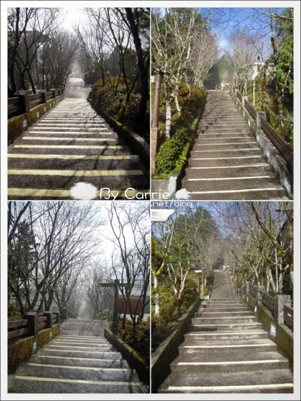 【宜蘭旅遊景點】太平山森林遊樂區+太平山蹦蹦車 @飛天璇的口袋 【宜蘭旅遊景點】太平山森林遊樂區+太平山蹦蹦車 @飛天璇的口袋