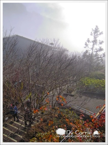 【宜蘭旅遊景點】太平山森林遊樂區+太平山蹦蹦車 @飛天璇的口袋 【宜蘭旅遊景點】太平山森林遊樂區+太平山蹦蹦車 @飛天璇的口袋