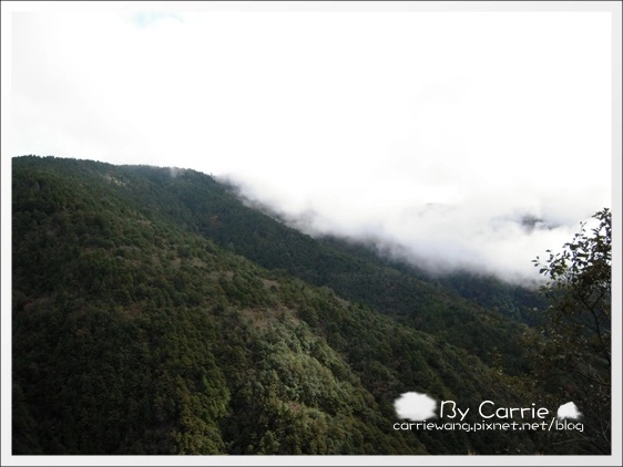 【宜蘭旅遊景點】太平山森林遊樂區+太平山蹦蹦車 @飛天璇的口袋 【宜蘭旅遊景點】太平山森林遊樂區+太平山蹦蹦車 @飛天璇的口袋