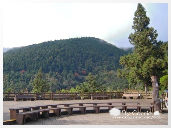 【宜蘭旅遊景點】太平山森林遊樂區+太平山蹦蹦車 @飛天璇的口袋 【宜蘭旅遊景點】太平山森林遊樂區+太平山蹦蹦車 @飛天璇的口袋