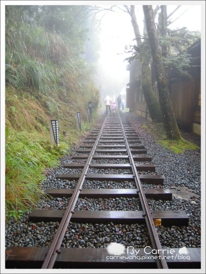 【宜蘭旅遊景點】太平山森林遊樂區+太平山蹦蹦車 @飛天璇的口袋 【宜蘭旅遊景點】太平山森林遊樂區+太平山蹦蹦車 @飛天璇的口袋