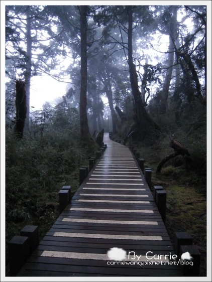 【宜蘭旅遊景點】太平山森林遊樂區+太平山蹦蹦車 @飛天璇的口袋 【宜蘭旅遊景點】太平山森林遊樂區+太平山蹦蹦車 @飛天璇的口袋