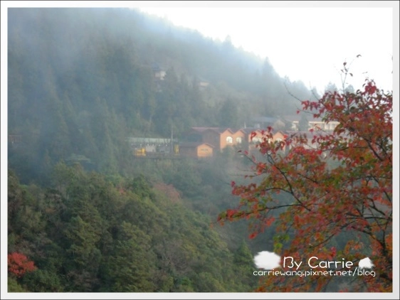 【宜蘭旅遊景點】太平山森林遊樂區+太平山蹦蹦車 @飛天璇的口袋 【宜蘭旅遊景點】太平山森林遊樂區+太平山蹦蹦車 @飛天璇的口袋