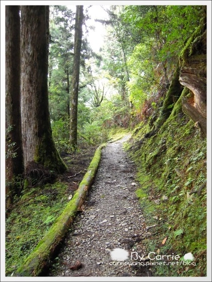 【宜蘭旅遊景點】太平山森林遊樂區+太平山蹦蹦車 @飛天璇的口袋 【宜蘭旅遊景點】太平山森林遊樂區+太平山蹦蹦車 @飛天璇的口袋