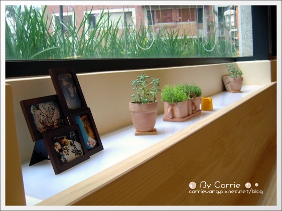 【台中義大利麵】Copain コパン義式廚房.Italian fine food。日本東京在台第一家分店 @飛天璇的口袋 【台中義大利麵】Copain コパン義式廚房.Italian fine food。日本東京在台第一家分店 @飛天璇的口袋