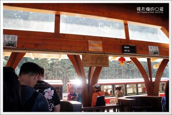 【嘉義】2013阿里山櫻花季(3/15~4/15)。分享3/9最新花況,吉野櫻の櫻王已經開了哦! @飛天璇的口袋 【嘉義】2013阿里山櫻花季(3/15~4/15)。分享3/9最新花況,吉野櫻の櫻王已經開了哦! @飛天璇的口袋