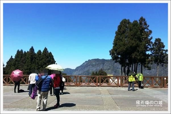 【嘉義】2013阿里山櫻花季(3/15~4/15)。分享3/9最新花況,吉野櫻の櫻王已經開了哦! @飛天璇的口袋 【嘉義】2013阿里山櫻花季(3/15~4/15)。分享3/9最新花況,吉野櫻の櫻王已經開了哦! @飛天璇的口袋