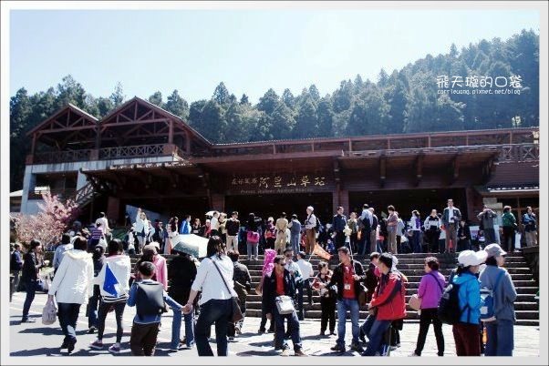 【嘉義】2013阿里山櫻花季(3/15~4/15)。分享3/9最新花況,吉野櫻の櫻王已經開了哦! @飛天璇的口袋 【嘉義】2013阿里山櫻花季(3/15~4/15)。分享3/9最新花況,吉野櫻の櫻王已經開了哦! @飛天璇的口袋