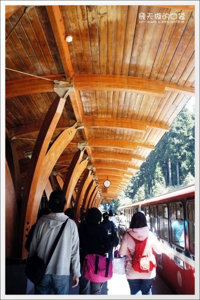 【嘉義】2013阿里山櫻花季(3/15~4/15)。分享3/9最新花況,吉野櫻の櫻王已經開了哦! @飛天璇的口袋 【嘉義】2013阿里山櫻花季(3/15~4/15)。分享3/9最新花況,吉野櫻の櫻王已經開了哦! @飛天璇的口袋