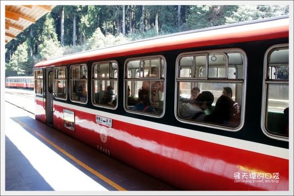 【嘉義】2013阿里山櫻花季(3/15~4/15)。分享3/9最新花況,吉野櫻の櫻王已經開了哦! @飛天璇的口袋 【嘉義】2013阿里山櫻花季(3/15~4/15)。分享3/9最新花況,吉野櫻の櫻王已經開了哦! @飛天璇的口袋