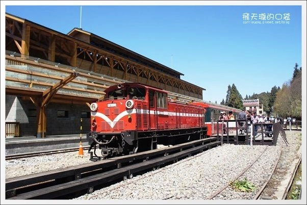 【嘉義】2013阿里山櫻花季(3/15~4/15)。分享3/9最新花況,吉野櫻の櫻王已經開了哦! @飛天璇的口袋 【嘉義】2013阿里山櫻花季(3/15~4/15)。分享3/9最新花況,吉野櫻の櫻王已經開了哦! @飛天璇的口袋