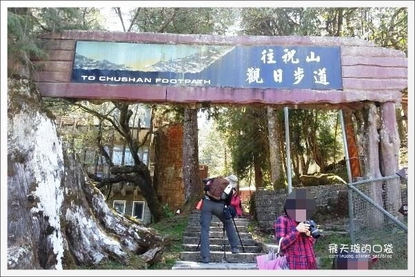 【嘉義】2013阿里山櫻花季(3/15~4/15)。分享3/9最新花況,吉野櫻の櫻王已經開了哦! @飛天璇的口袋 【嘉義】2013阿里山櫻花季(3/15~4/15)。分享3/9最新花況,吉野櫻の櫻王已經開了哦! @飛天璇的口袋