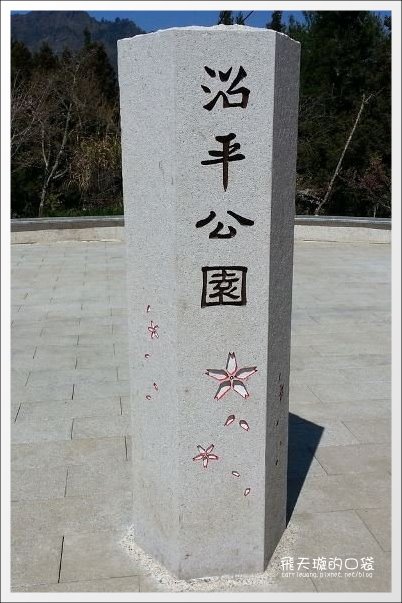 【嘉義】2013阿里山櫻花季(3/15~4/15)。分享3/9最新花況,吉野櫻の櫻王已經開了哦! @飛天璇的口袋 【嘉義】2013阿里山櫻花季(3/15~4/15)。分享3/9最新花況,吉野櫻の櫻王已經開了哦! @飛天璇的口袋