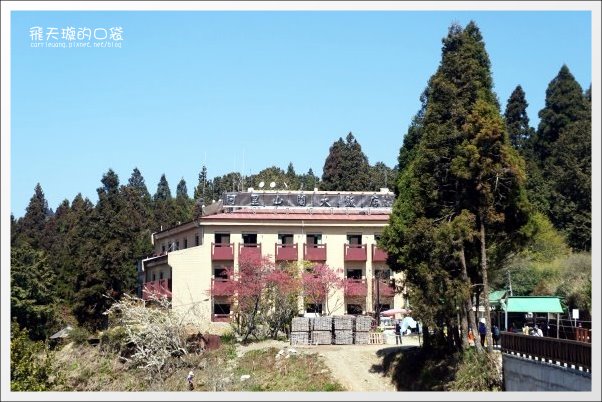 【嘉義】2013阿里山櫻花季(3/15~4/15)。分享3/9最新花況,吉野櫻の櫻王已經開了哦! @飛天璇的口袋 【嘉義】2013阿里山櫻花季(3/15~4/15)。分享3/9最新花況,吉野櫻の櫻王已經開了哦! @飛天璇的口袋