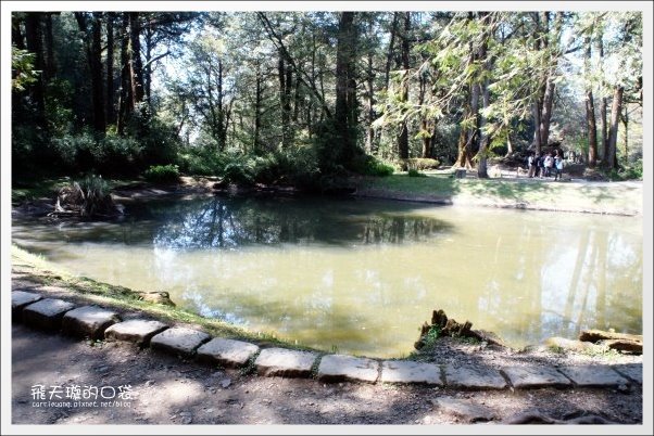 【嘉義】2013阿里山櫻花季(3/15~4/15)。分享3/9最新花況,吉野櫻の櫻王已經開了哦! @飛天璇的口袋 【嘉義】2013阿里山櫻花季(3/15~4/15)。分享3/9最新花況,吉野櫻の櫻王已經開了哦! @飛天璇的口袋