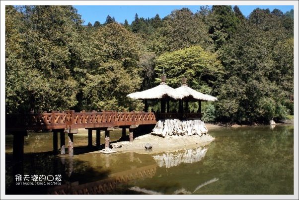 【嘉義】2013阿里山櫻花季(3/15~4/15)。分享3/9最新花況,吉野櫻の櫻王已經開了哦! @飛天璇的口袋 【嘉義】2013阿里山櫻花季(3/15~4/15)。分享3/9最新花況,吉野櫻の櫻王已經開了哦! @飛天璇的口袋