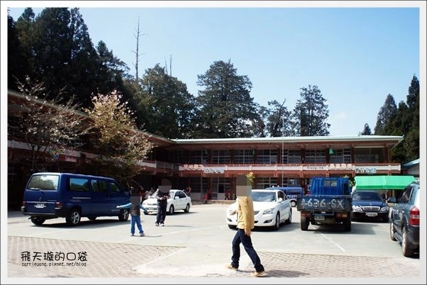 【嘉義】2013阿里山櫻花季(3/15~4/15)。分享3/9最新花況,吉野櫻の櫻王已經開了哦! @飛天璇的口袋 【嘉義】2013阿里山櫻花季(3/15~4/15)。分享3/9最新花況,吉野櫻の櫻王已經開了哦! @飛天璇的口袋